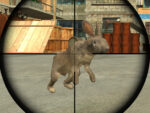 Rabbit shooter